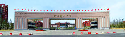 logo-image